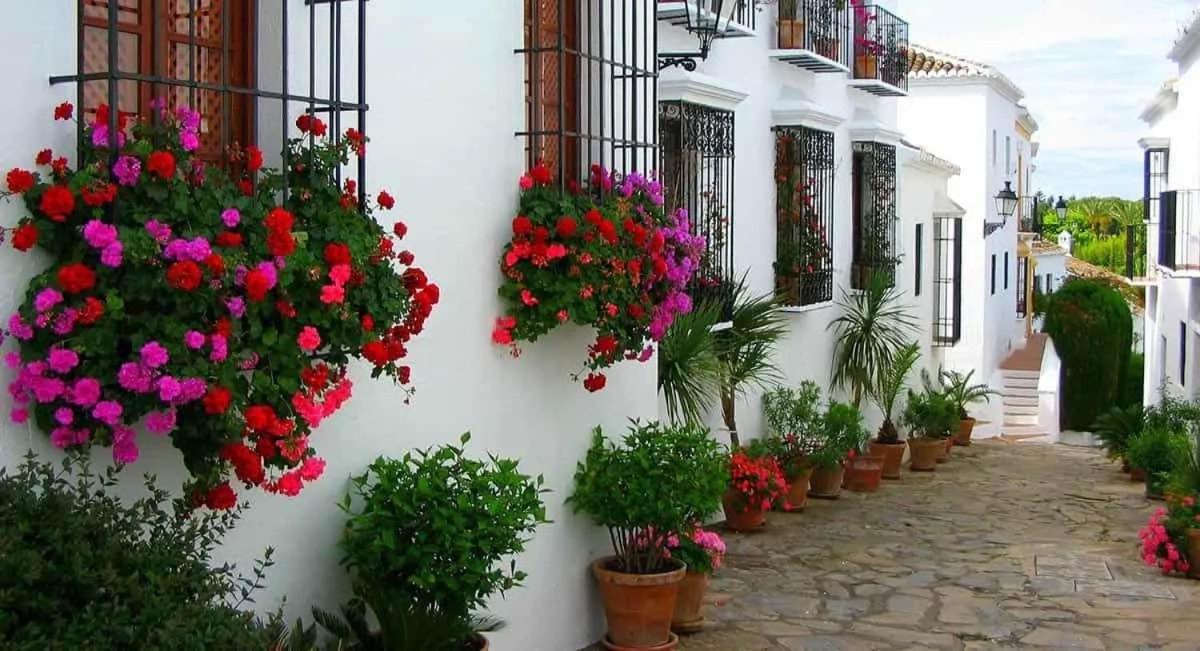Villa Tiphareth Marbella Eksteriør billede