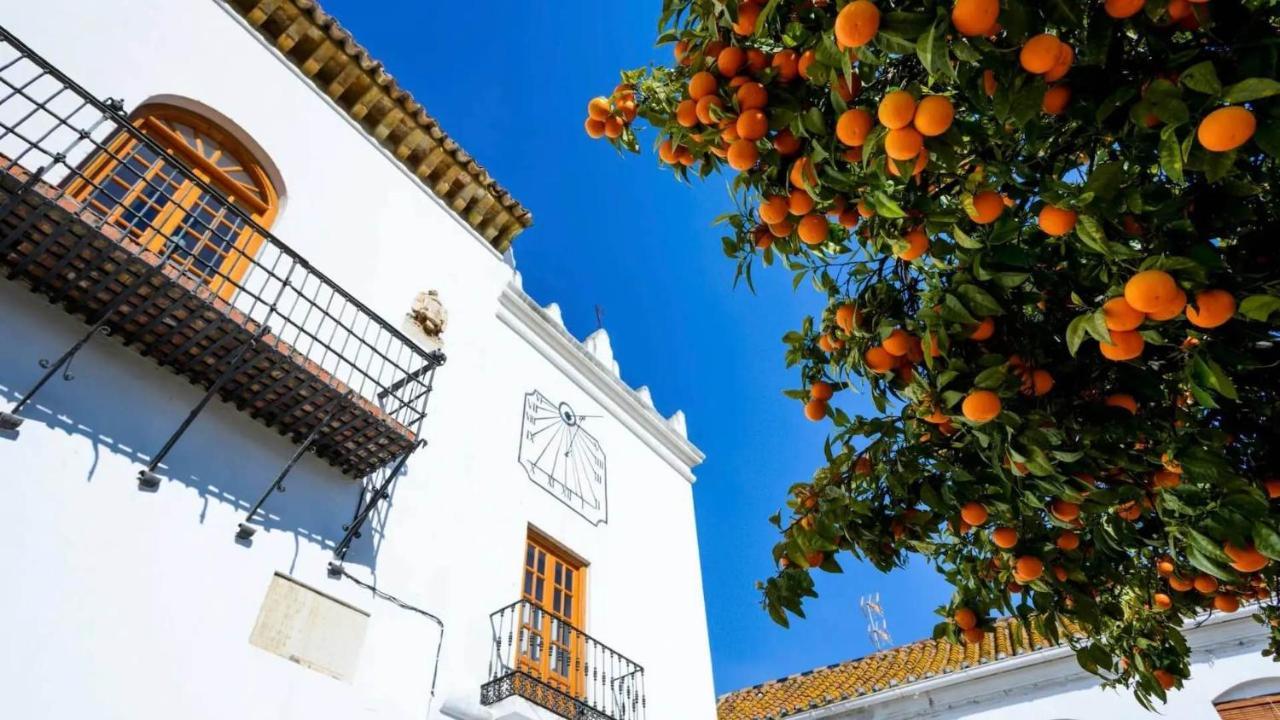 Villa Tiphareth Marbella Eksteriør billede